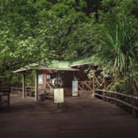 Permai Rainforest Resort Сантубонг Екстер'єр фото