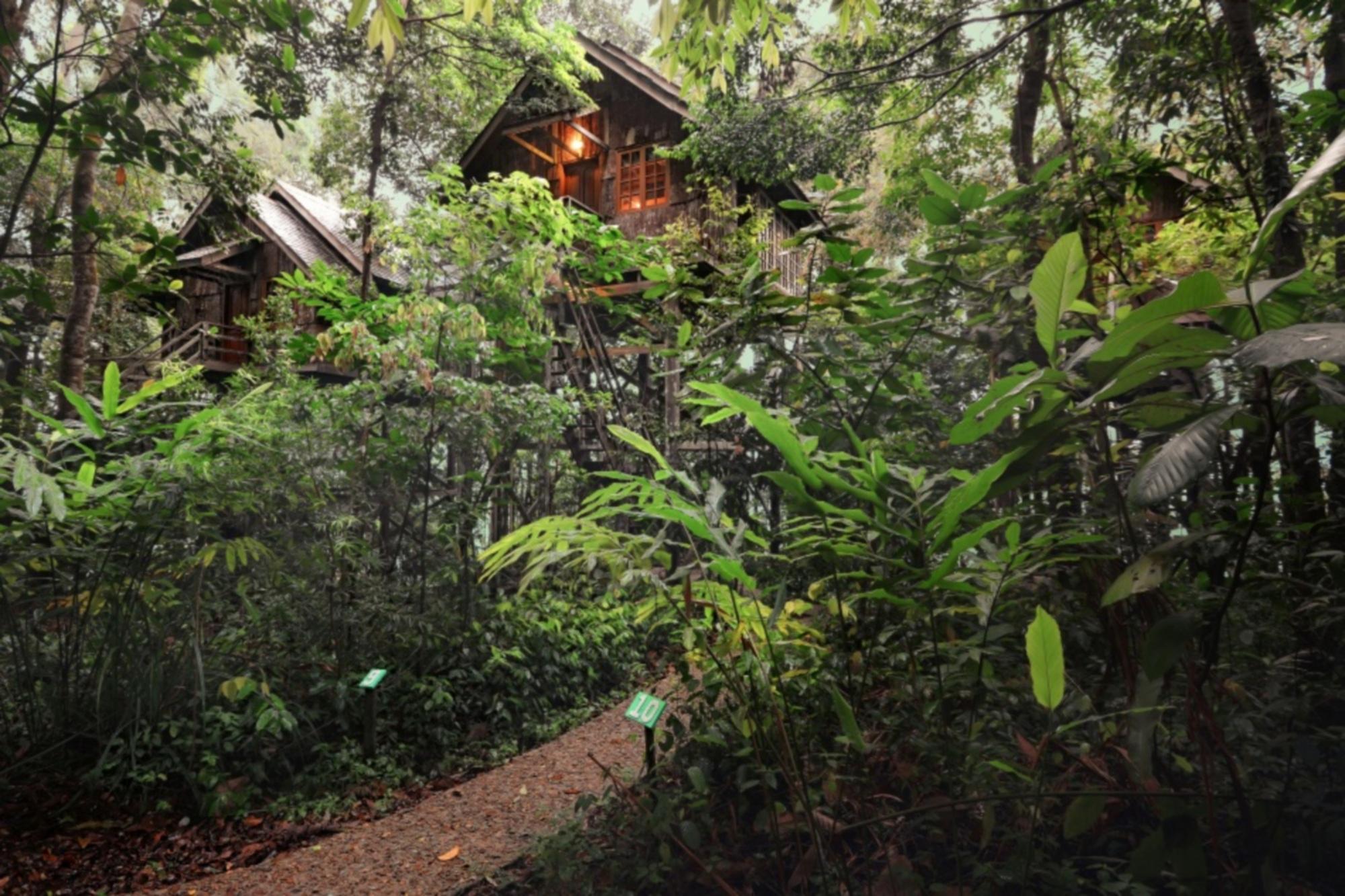 Permai Rainforest Resort Сантубонг Екстер'єр фото