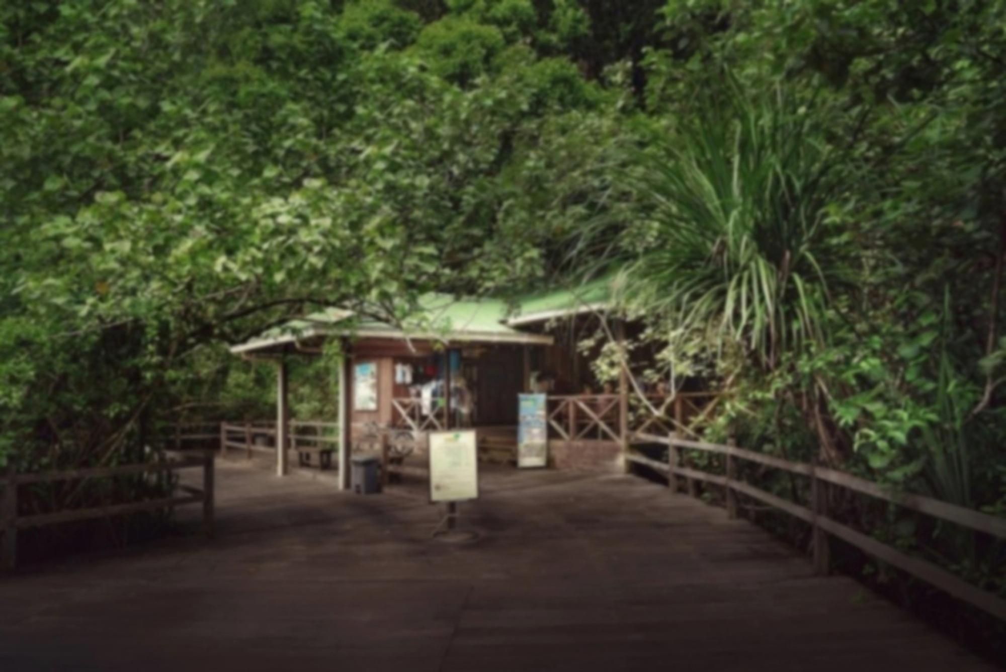 Permai Rainforest Resort Сантубонг Екстер'єр фото