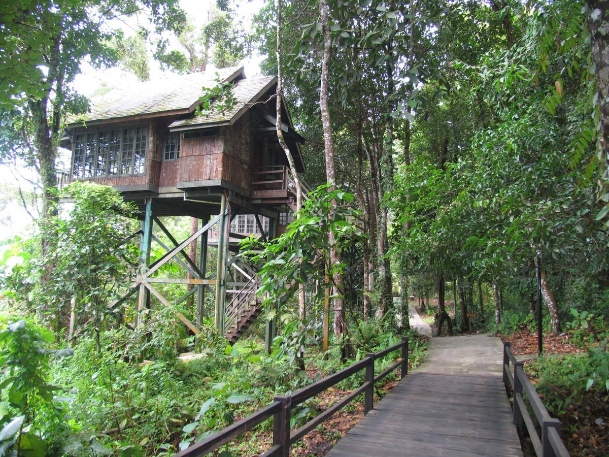 Permai Rainforest Resort Сантубонг Екстер'єр фото