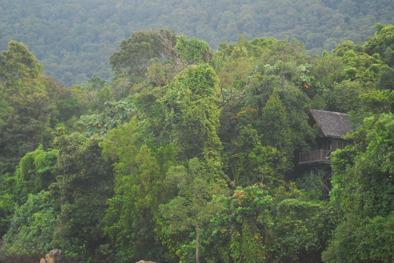 Permai Rainforest Resort Сантубонг Екстер'єр фото